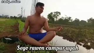 Jangan tanya kapan nikah (story wa) koe tak sayang sayang Dory Harsa