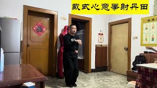 戴氏心意拳射丹田教学示范片段 Teaching and Demo Footage of Shooting Dantian #Kungfu #xinyiquan  #心意拳唐宁泰