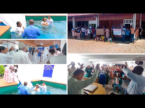 Visita de la