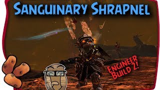 Best Builds For Guild Wars 2 Open World & Story - Engineer Grenadier Variant