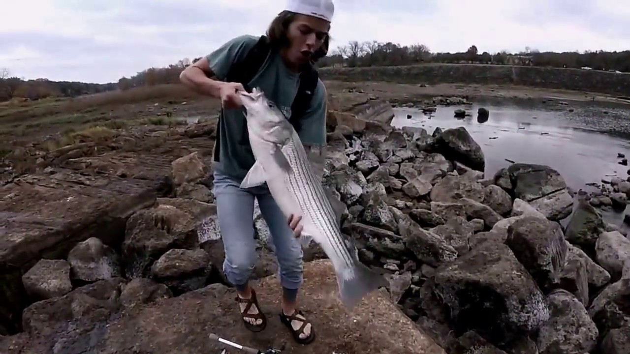 Catching MONSTER Striped Bass: Lake Whitney and Brazos River FIshing