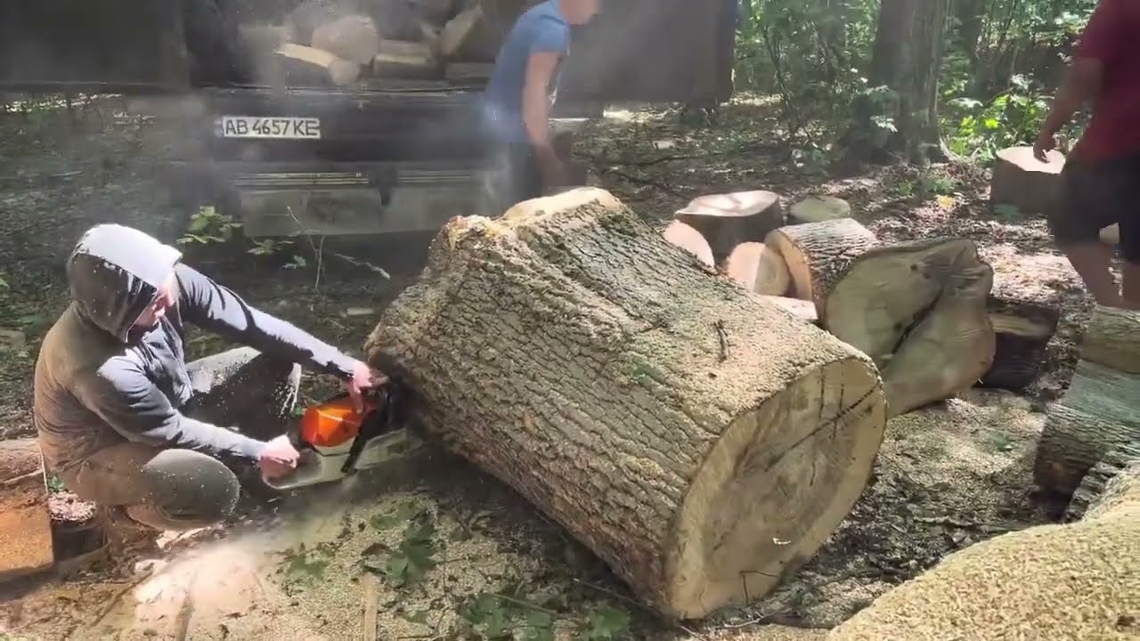 Unreal Power: STIHL 462 C-M Eats Through Oak Blocks Effortlessly