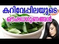 കറിവേപ്പിലയുടെ  ഔഷധഗുണങ്ങൾ  | Benefits of curry leaves | Malayalam Tasty World