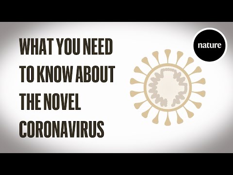 What you need to know about the novel coronavirus