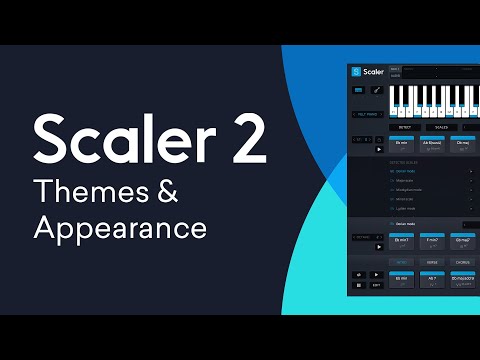 Scaler 2 New Features | Themes & Appearance Customization