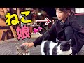 ねこ道楽の新人ブリーダー　【ねこ娘　Rimu】　現る　ねこ道楽