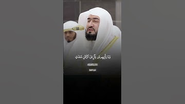 طٜسٓمٓ ۝١ تِلۡكَ ءَايَٰتُ ٱلۡكِتَٰبِ ٱلۡمُبِينِ |ماتيسر من سورة الشعراء |فضيله الشيخ بندر بليله
