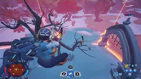 OFFICIAL 2024 Darwin Project Jetwings Tutorial