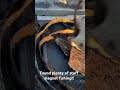 This little creek was loaded with mess!! #magnet #fishing #magnetfishing #fun #fyp #treasure #metal