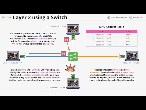 Vídeo: Un interruptor idiot passarà les etiquetes vlan?