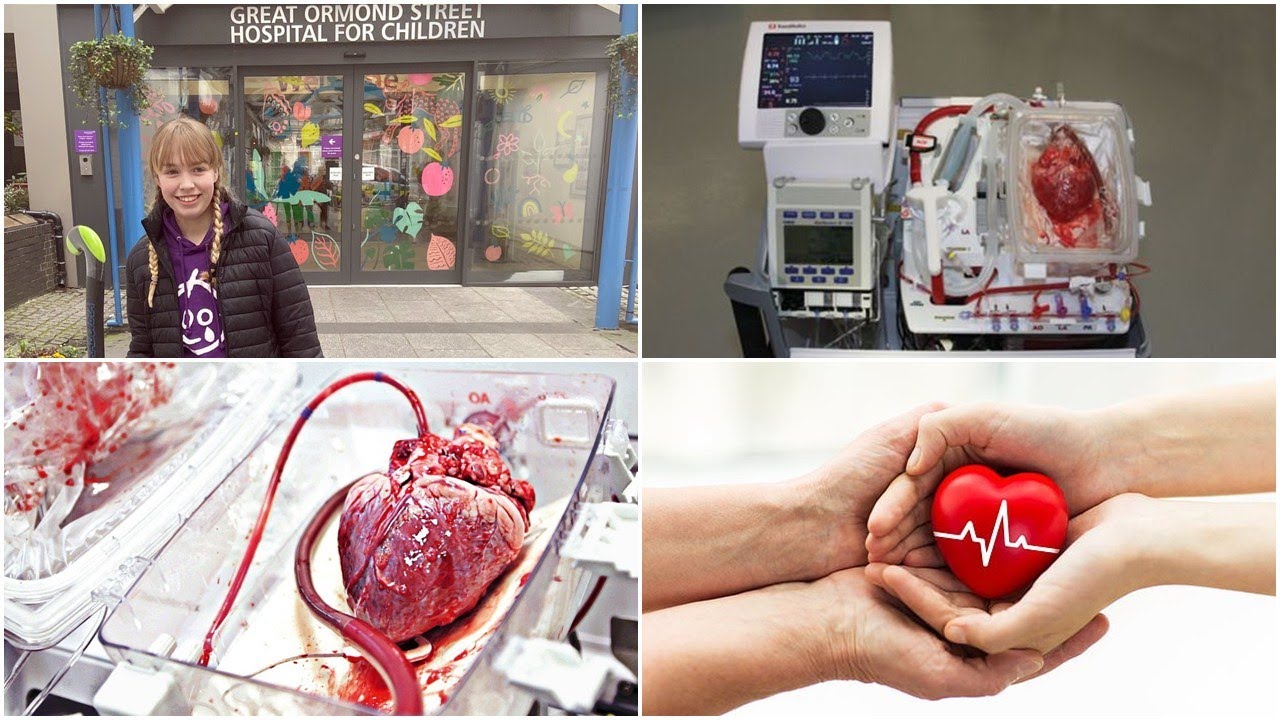 Amazing News 'heart in a box' transplant technique in children YouTube