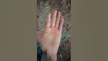 I broke my finger #viral #shorts #datamosh (app: Moshup)