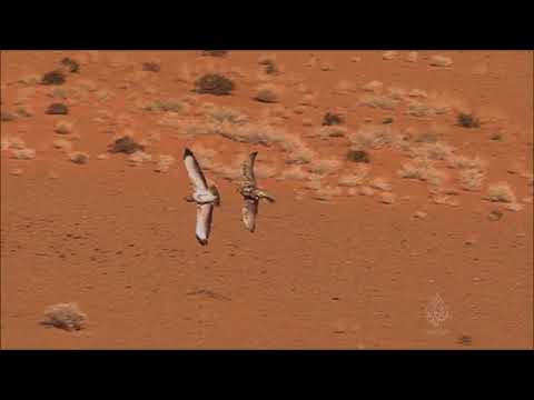 لقد لحقت بأولى الخيل تحملني زهير بن أبي س لمى