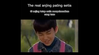 Lebih nyesek dari Hachiko.. The real anjing paling setia.. #heartypaws#drakor#kdrama#kmovie