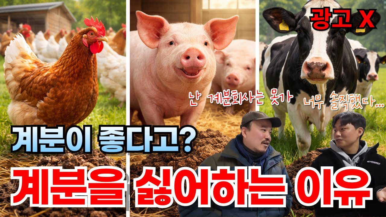 퇴비의 왕은 계분? 계분을 왜 이렇게 많이 사용할까?  | 비료전문가가 알려주는 퇴비
