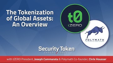 The Tokenization of Global Assets: An Overview (Expert Panel with tZero and Polymath)