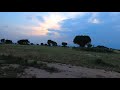Уганда, день 1 – шимпанзе на деревьях и леопарды на земле