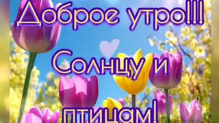 С добрым утром🌞😍❤️ Радостным днём🌞😍❤️