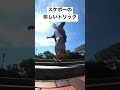 スケボーの珍しいトリック 『ストリートスウィーパー』 #スケートボード #ショービット #スケボー初心者