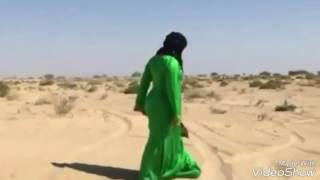 صلاح البحر ردين يابو ردانه