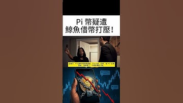 Pi 的價格暴跌，到底真相是什麼？是技術更新失敗？還是……背後有鯨魚的黑手在暗中操盤？我們就來揭開——幣圈『打狗行動』的真面目！ #pi #pinetwork #加密貨幣