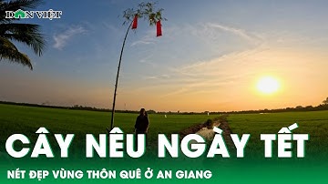 Dựng cây nêu ngày Tết ở An Giang  Nét đẹp vùng thôn quê l Báo Dân Việt