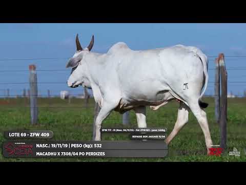 LOTE 69 ZFW 409