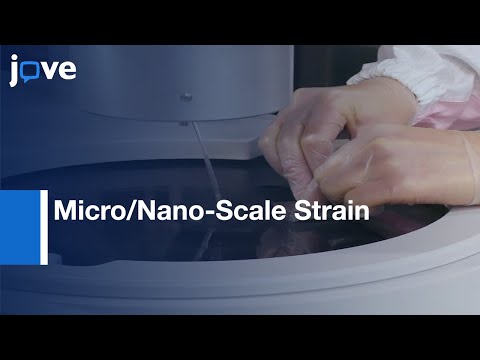 Micro/Nano-Scale Strain Distribution measurement|Protocol Preview