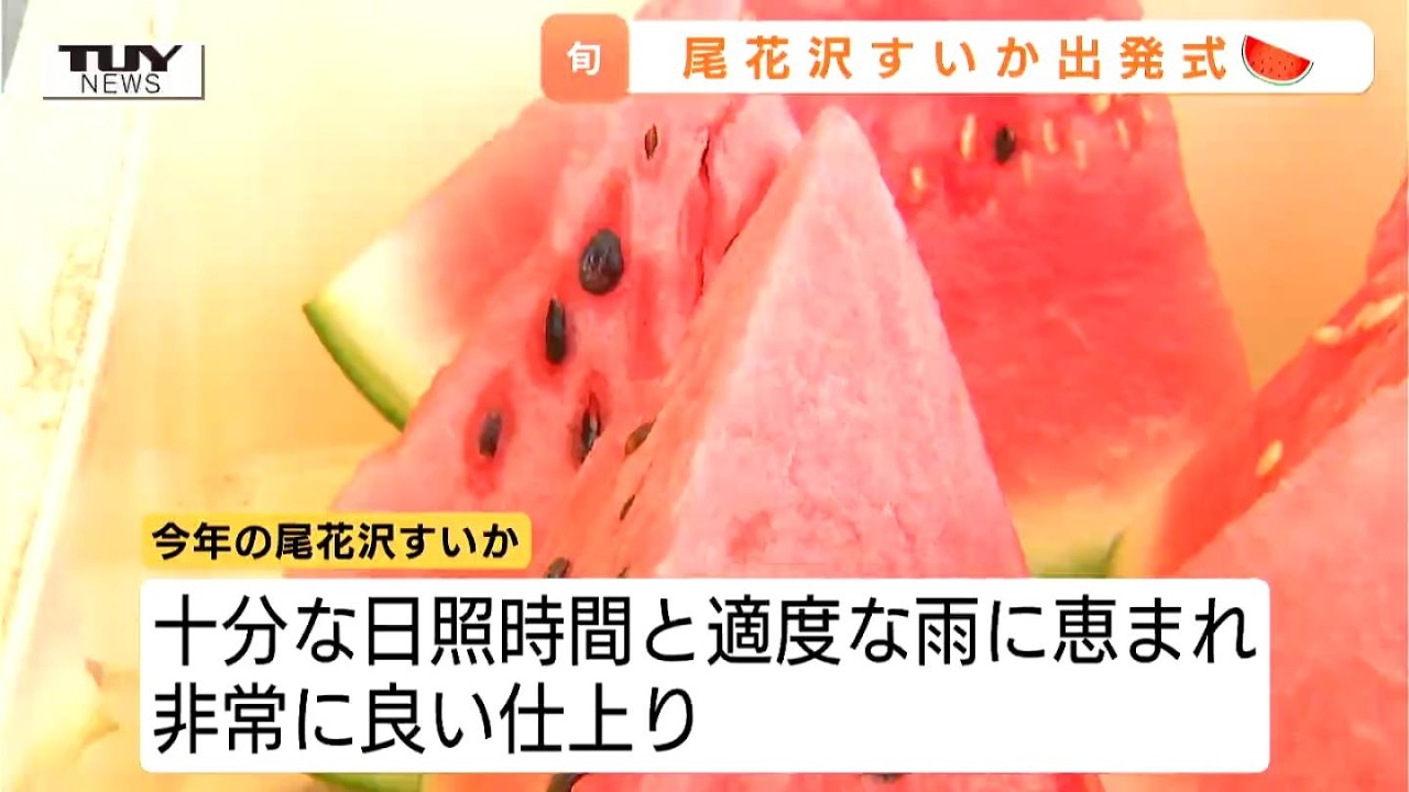 Best Harvest Yet! Obanazawa Watermelon Shipments Begin – Beat the