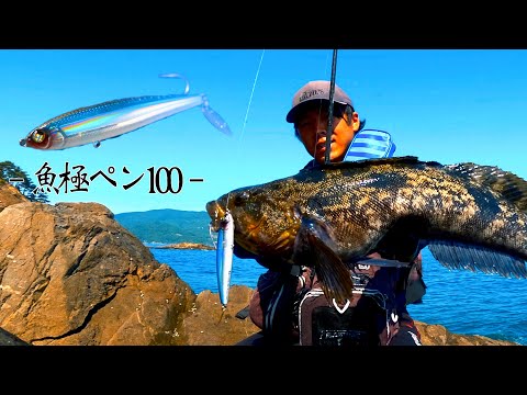 ハードルアーでアイナメを狙う！宮城磯ロック釣行‼︎