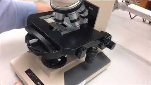 Compound microscope training video