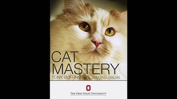 landing page for ebook