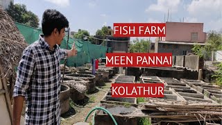 MEEN PANNAI || KOLATHUR || FISH FARM