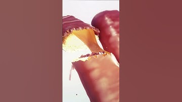 3D chocolate bar animation Cinema 4D