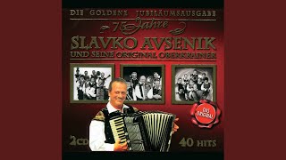 Video thumbnail of "Slavko Avsenik - Gitarrenecho"