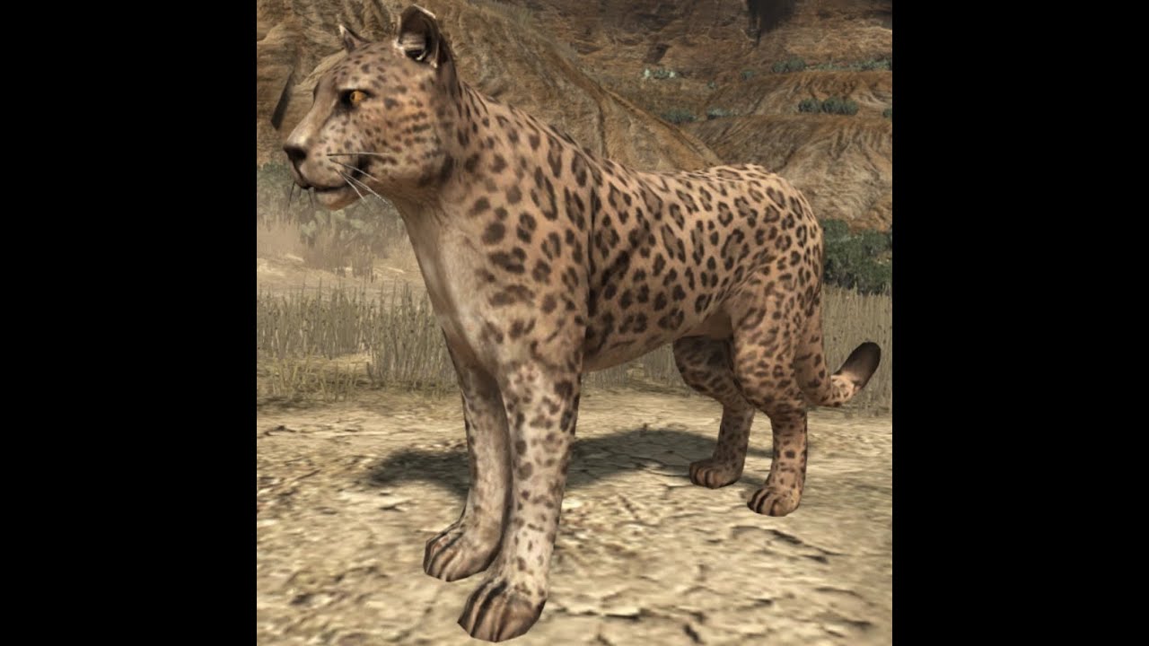 ''Khan'' The legendary cougar location RDR1