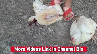 A Girl Slaughters A Chicken