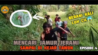 Ngebolang Mencari Jamur Jerami Sampai Di Kejar Tawon - Bolangetrip Eps 4 #bolang #petualangan