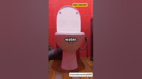 Why Does the Toilet Have Two Flush Buttons? #facts #logic #flushdoor