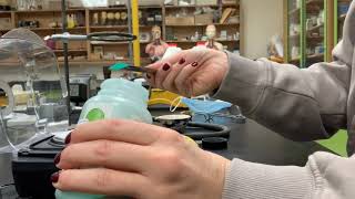 Percent Yield Stoichiometry Lab