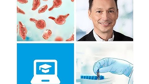 On-Demand Webinar: Cryopreservation and tracking of biological samples