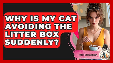 Why Is My Cat Avoiding The Litter Box Suddenly? - Happy Cat Handbook