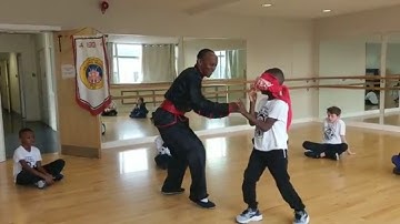 Blind Fold Kung Fu Vid 1-2 Praying Mantis Sifu Bryan Barnes