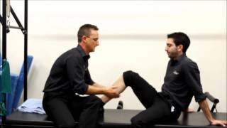 Calf strain advice by my Physio SA for trainers Adelaide Physiotherapist