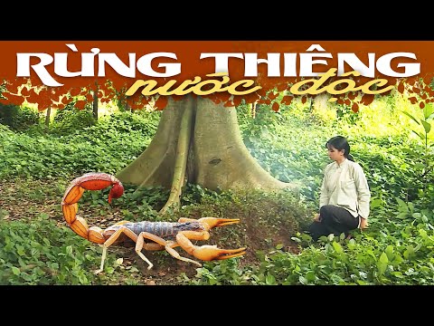 CỔ TÍCH RỪNG THIÊNG NƯỚC ĐỘC – Cổ Tích Việt Nam 2023⭐Truyện Cổ Tích Hay Nhất ⭐ Phim Cổ Tích Việt Nam mới 2023 CỔ TÍCH RỪNG THIÊNG NƯỚC ĐỘC – Cổ Tích Việt Nam 2023⭐Truyện Cổ Tích Hay Nhất ⭐ Phim Cổ Tích Việt Nam mới 2023