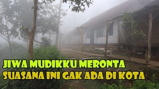 Sudah Gak Sabar Pengen Mudikdi Kota Gak Ada Suasana Seperti Inijiwa Mudikku Bergejolak