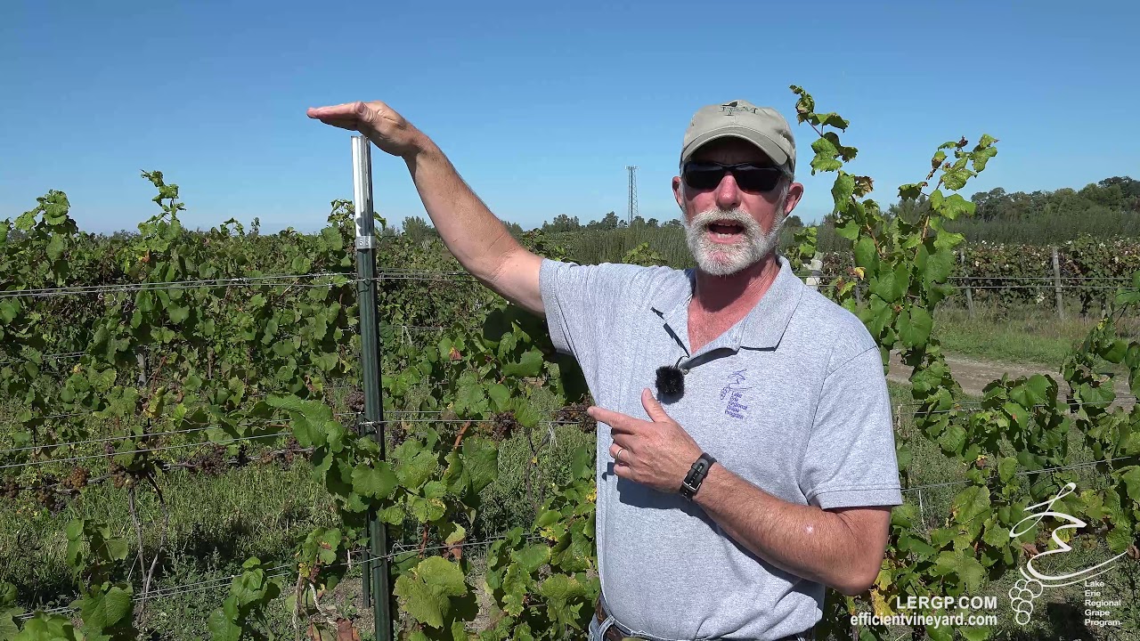 Dealing with Pest Management Problems - LERGP Podcast #40