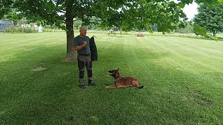 Building Calm or Pushing Grips with Your Dog (This was not an exercise focusing on Outing.)