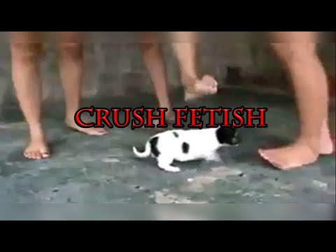 Crush Fetish | A Look Into Depravity