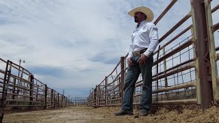 Download Lagu Professional bull riders take over CSU's Canvas Stadium in first for university, PBR MP3 Download Lagu Professional bull riders take over CSU's Canvas Stadium in first for university, PBR MP3